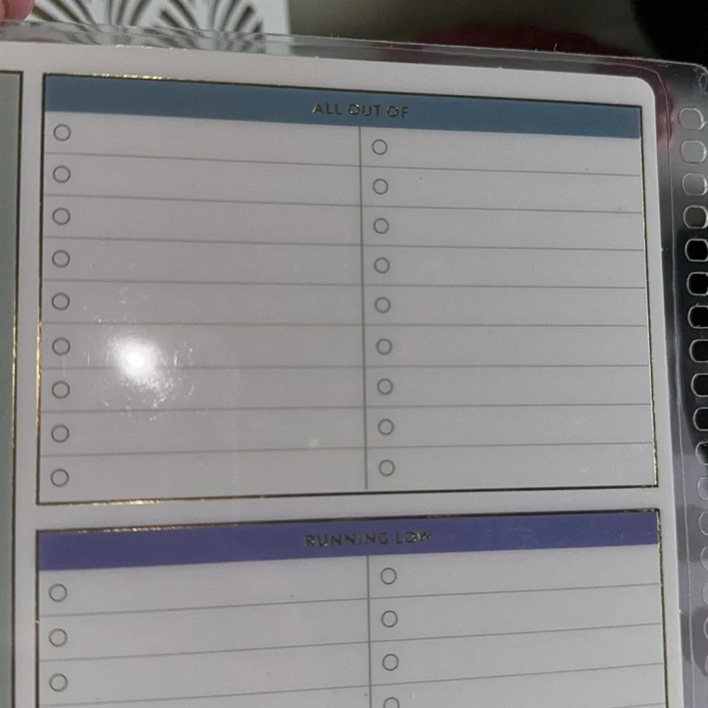 Erin condren shopping list